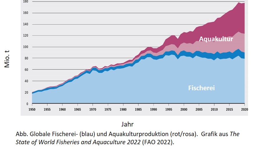 Produktion in Aquakultur und Fischerei