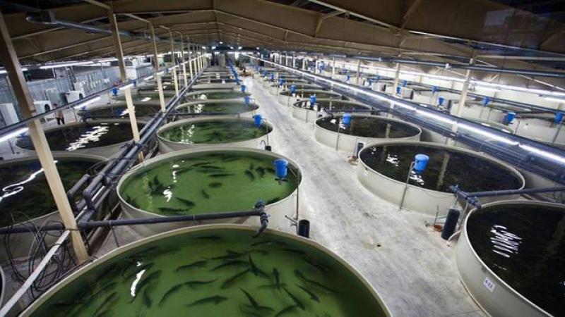 HCR Hygiene Aquariumpflege 10 Liter Destilliertes Wasser
